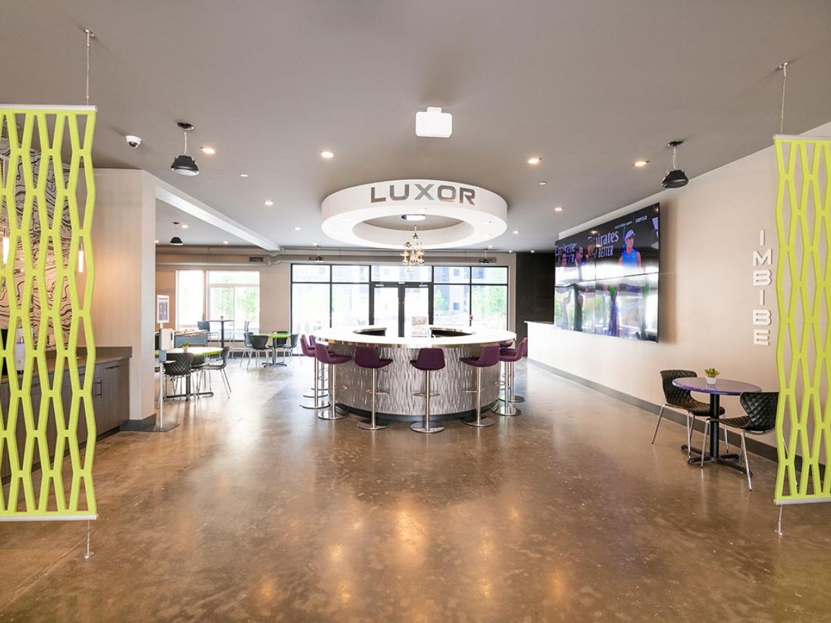 Westrum Corporate Modern lounge at Luxor in Bala Cynwyd features a circular white bar, purple stools, and large windows—perfect for luxury apartment living.